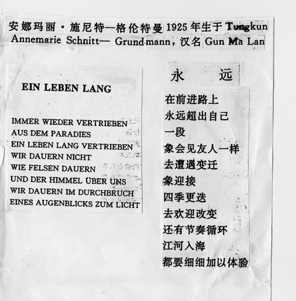 China-Übersetzung